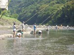 ayu8.jpg