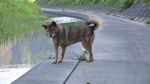 ranzennsinnIMG_0658.jpg